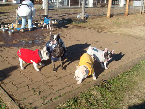 20071217_2.jpg