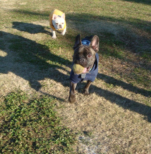 20071217_4.jpg