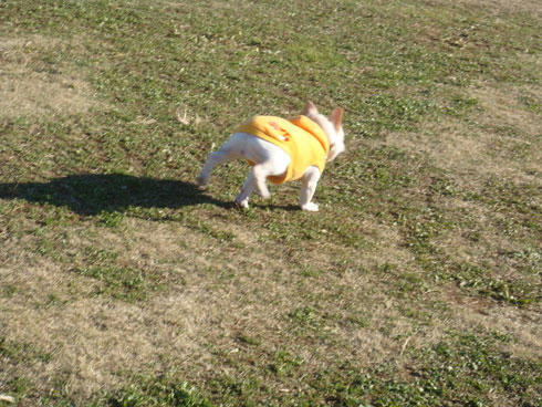 20071217_5.jpg