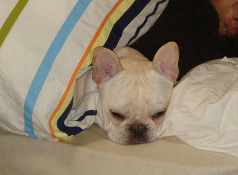 20071217_8.jpg