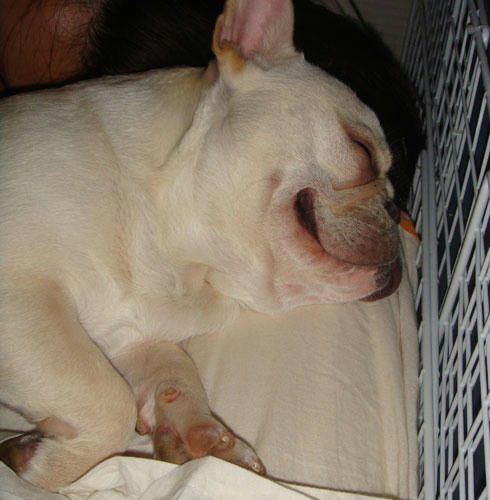 20071217_9.jpg