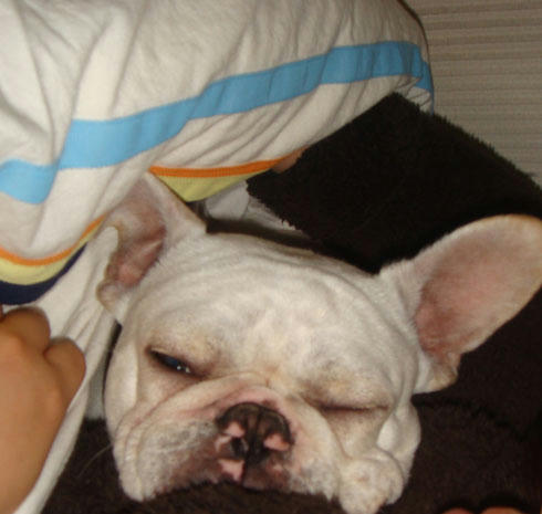 20071217_10.jpg