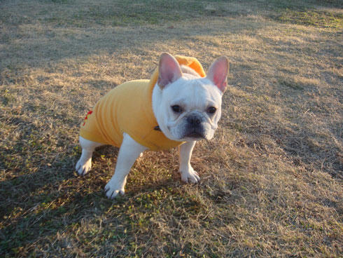 20071217_11.jpg