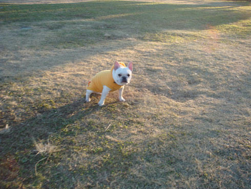20071217_12.jpg