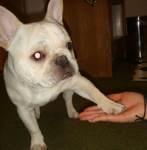20071219_2.jpg