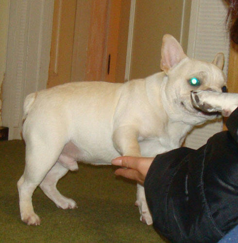 20071219_4.jpg