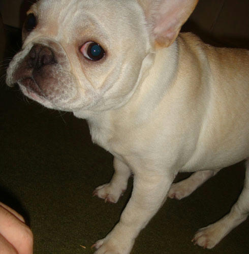 20071219_5.jpg