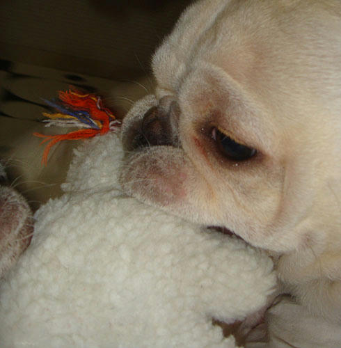 20071220_7.jpg