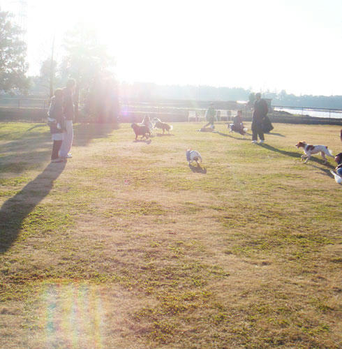 20071225_7.jpg