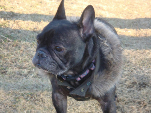 20071225_8.jpg