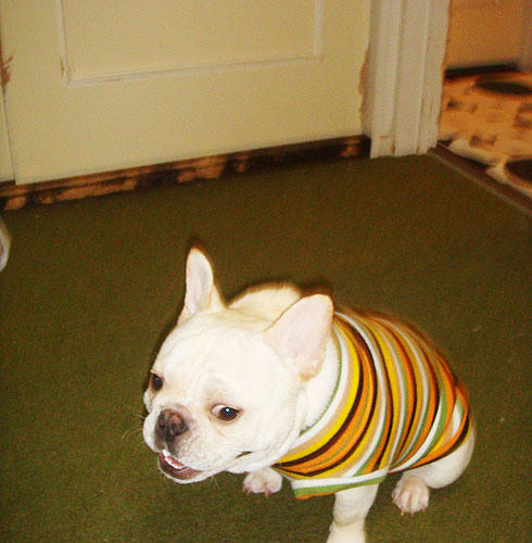 20071227_1.jpg