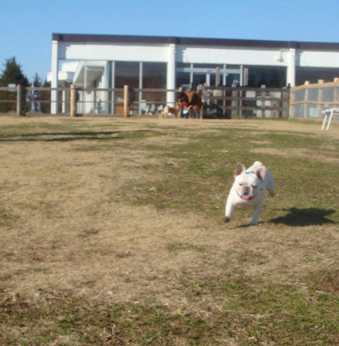 20071228_4.jpg