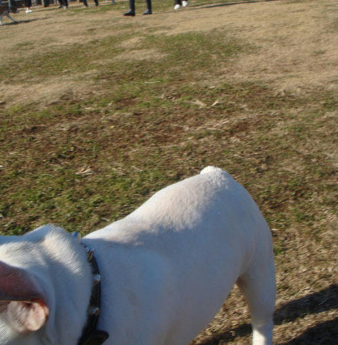 20071228_6.jpg