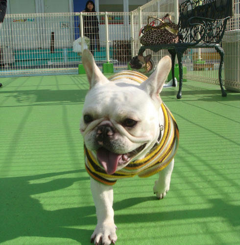 20080102_6.jpg