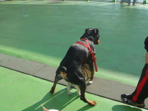 20080102_8.jpg