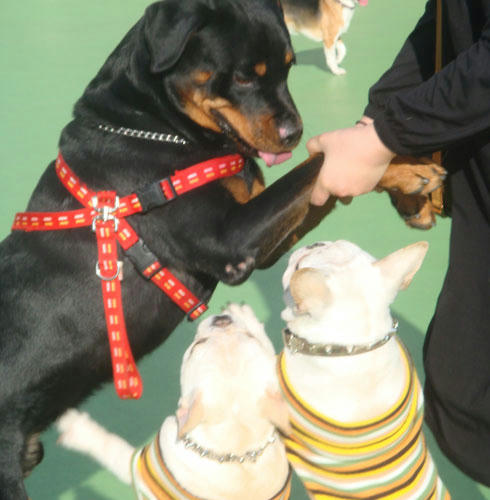 20080102_10.jpg