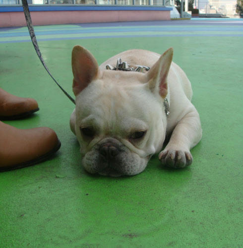 20080102_12.jpg