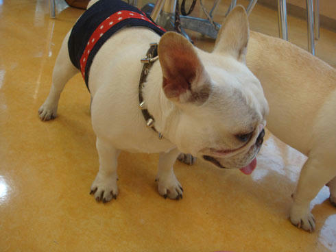20080102_13.jpg