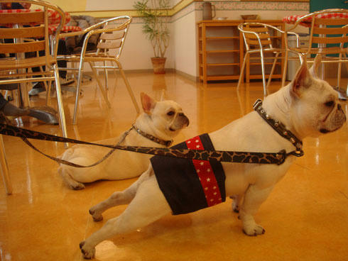 20080102_14.jpg