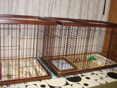 20080104_2.jpg