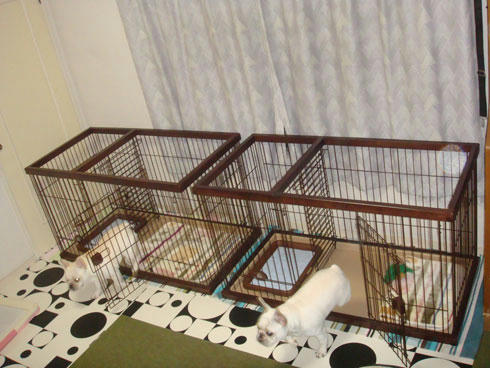 20080104_3.jpg