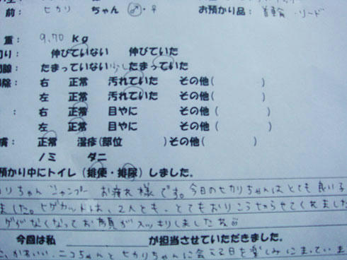 20080104_5.jpg