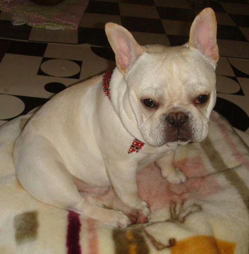 20080104_9.jpg