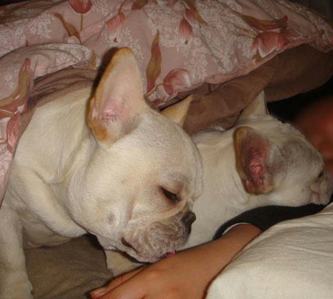 20070107_3.jpg