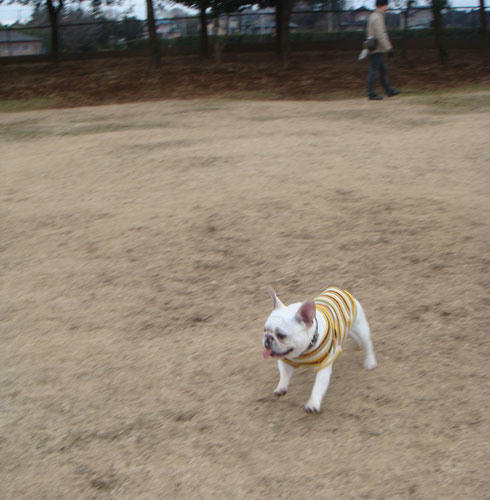 20080115_2.jpg