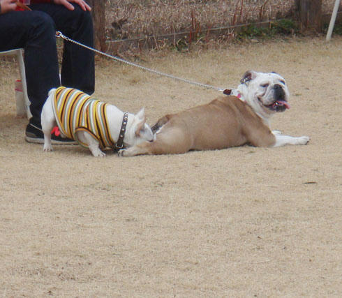 20080115_3.jpg