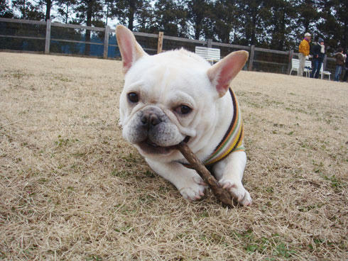 20080115_4.jpg