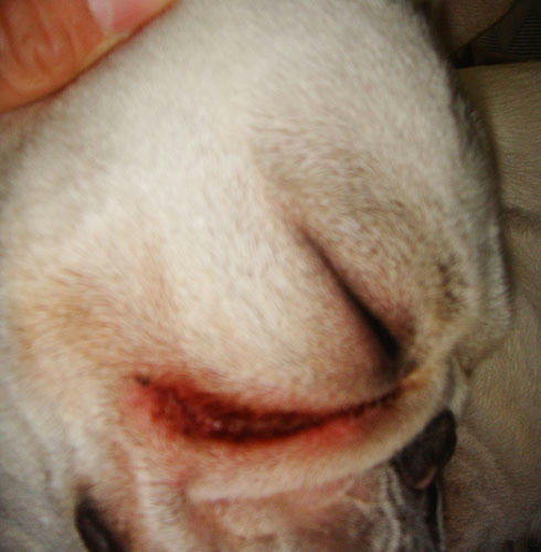 20080117_1.jpg