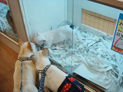 20080117_5.jpg