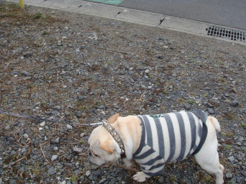 20080121_1.jpg
