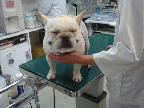 20080121_4.jpg