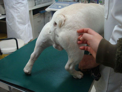 20080121_6.jpg