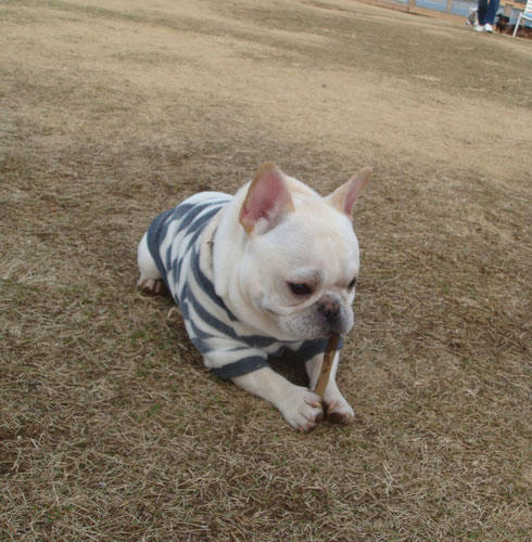 20080122_4.jpg