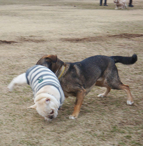 20080122_6.jpg