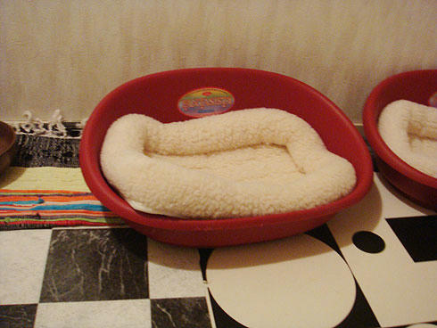 20080124_2.jpg