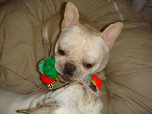 20080125_2.jpg