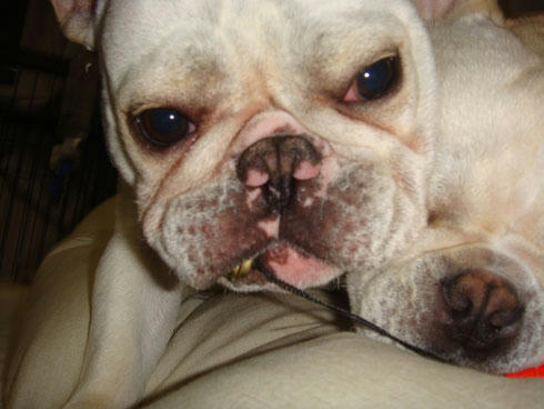 20080125_3.jpg