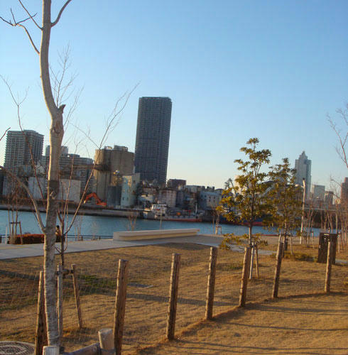 20080128_2.jpg
