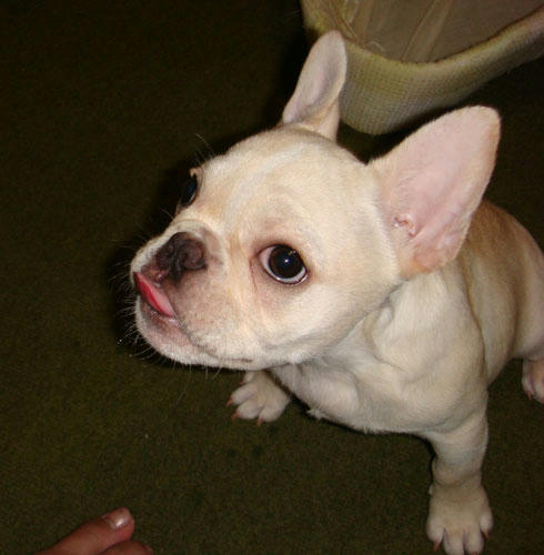 20080130_4.jpg
