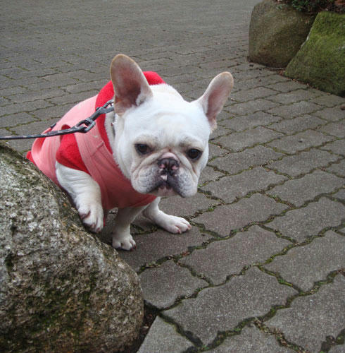 20080131_3.jpg