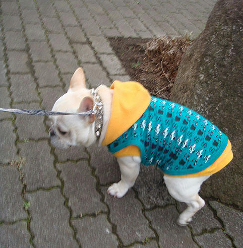 20080131_4.jpg