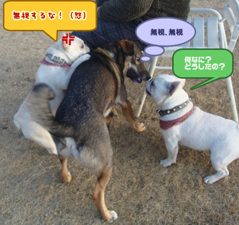 20080201_4.jpg