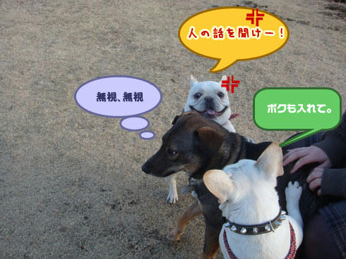 20080201_5.jpg