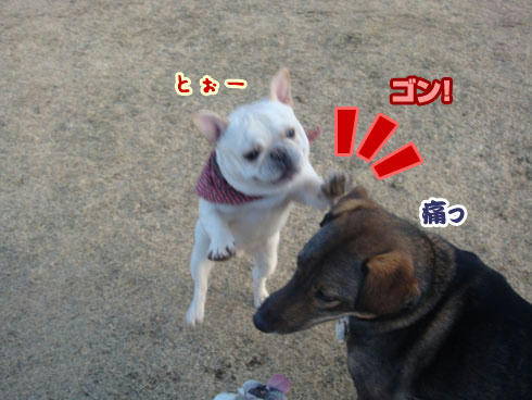 20080201_6.jpg