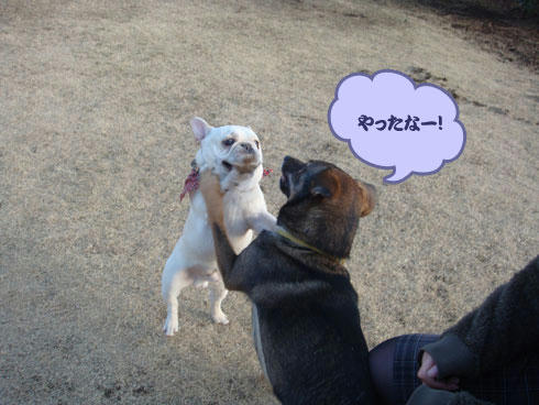 20080201_7.jpg