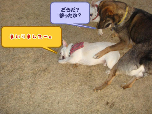 20080201_8.jpg